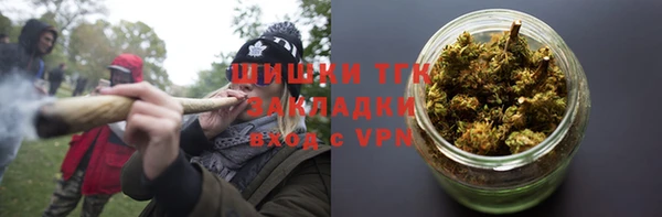 ALPHA-PVP Гусев