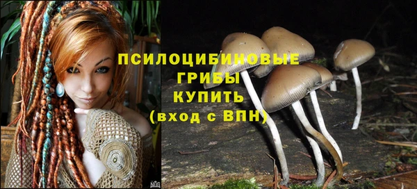 мет Няндома