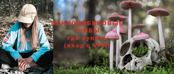 прущие крисы Новокубанск