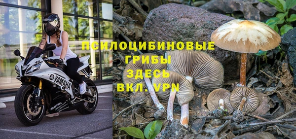 дурь Новодвинск