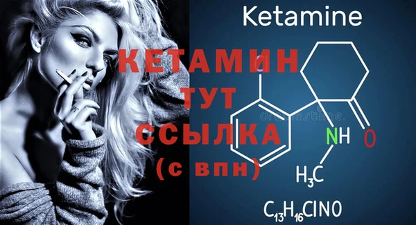 крисы Новозыбков