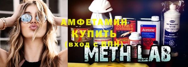 крисы Новозыбков